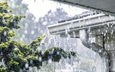 Basement Moisture and Humidity Control Before First Freeze in Greater Boston